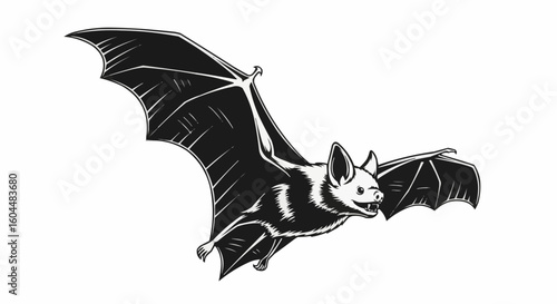 Bat