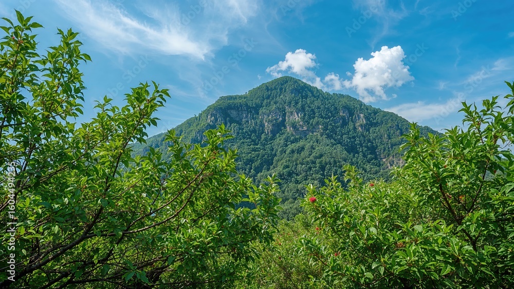 Fototapeta premium Trees with abundant green foliage and deciduous types in front of a mountain scene, combined with abstract floral textures and natural summer art