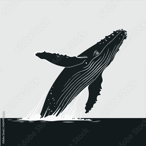 Majestic humpback whale breaching out of the ocean