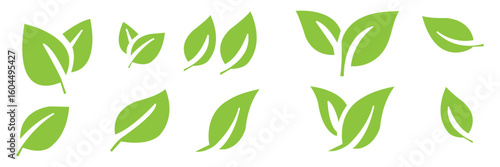 Green leaf icons set. Leaves icon on transparent background. Collection green leaf. Elements design for natural, eco, vegan, bio labels.