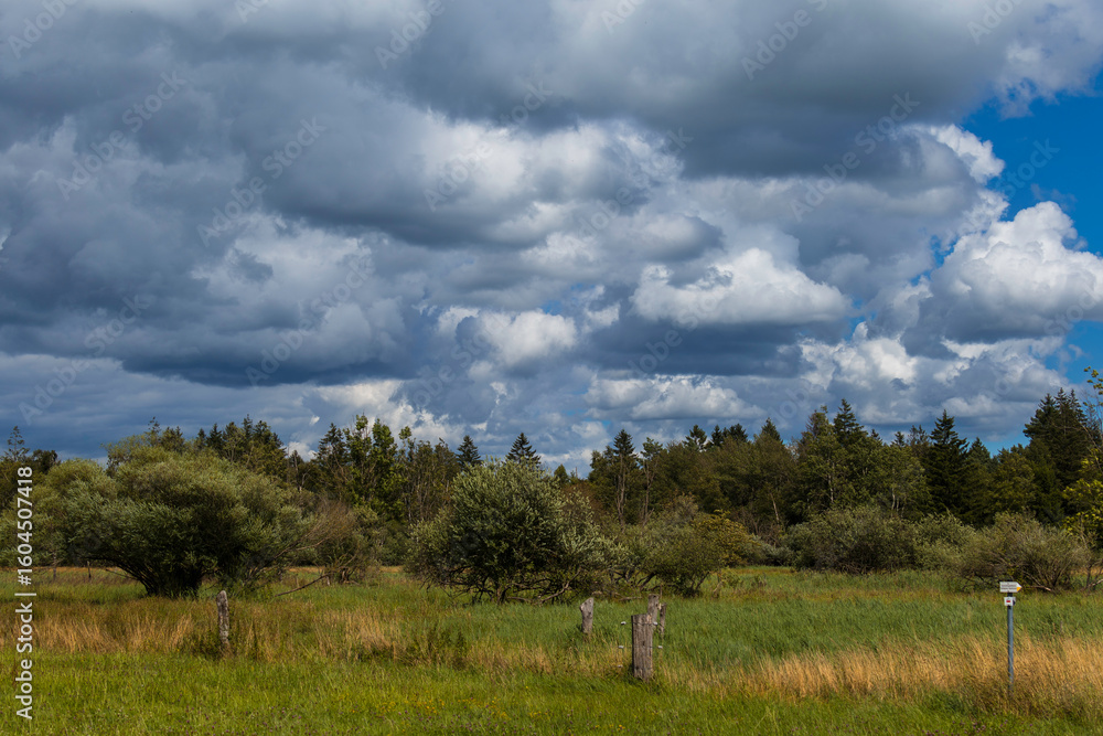 Obraz premium Landschaftsaufnahme einer Moorlandschaft mit Wolkenhimmel.