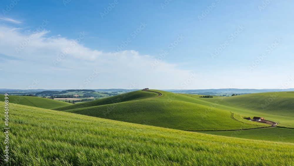 Scenic undulating fields in a Central European region during springtime Scenic undulating fields in a Central European region during springtime