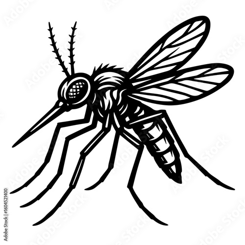  Mosquito Outline Illustration