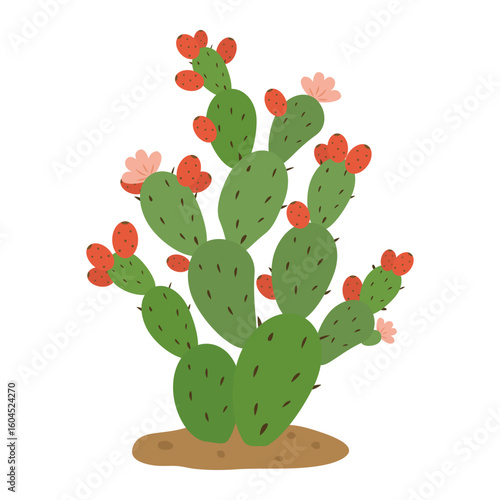 Prickly pear cactus with flowers and fruit. Vector illustration for use in botanical designs, educational materials, eco branding, or Southwestern themed content