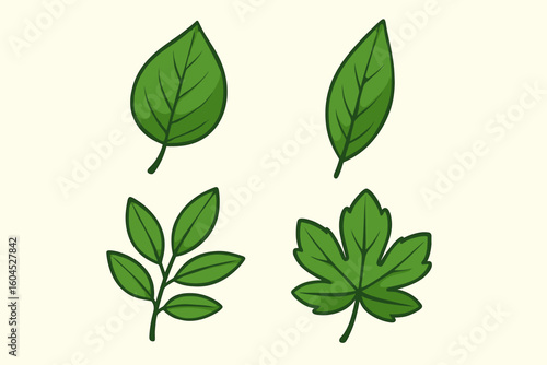 Green leaves vector set collection flat design nature botanical plant foliage eco organic natural illustration icon symbols graphic elements decoration