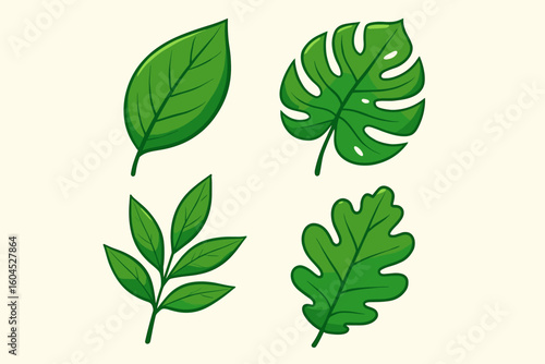 Green leaves vector set collection flat design botanical illustration nature foliage plant organic ecology natural environment tropical monstera oak compound leaf icons
