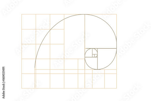 Golden Ratio spiral. Fibonacci sequence in a grid. Sacred geometry concept. Mathematical divine proportion. Harmony and balance in nature and design. Vector illustration.