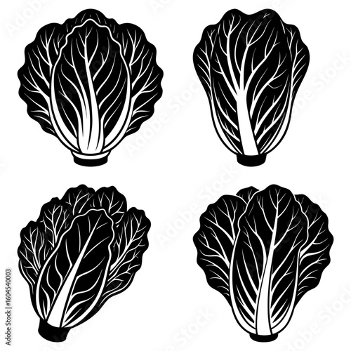 Four stylized black and white illustrations of napa cabbage heads in varying orientations and perspectives