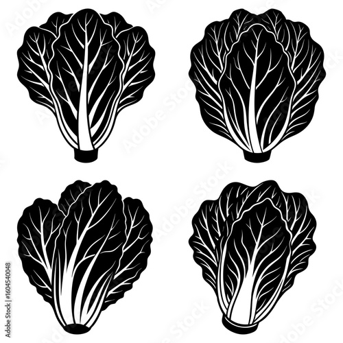 Illustration of four bok choy heads with detailed leaf veins in a monochrome black and white style artwork
