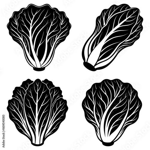Illustration of four bok choy vegetables with detailed leaf veins in black and white design style