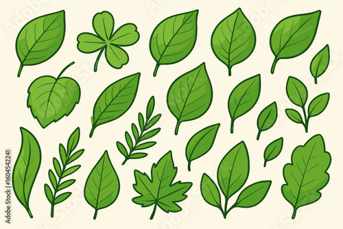 Green leaves vector collection. Set of graphical design elements. Various cartoon leaf shapes and sizes. Botanical foliage illustration for nature, spring, and eco concepts.