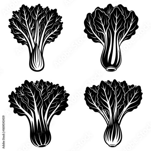 Four bok choy illustrations in black and white showing different angles and perspectives of the vegetable