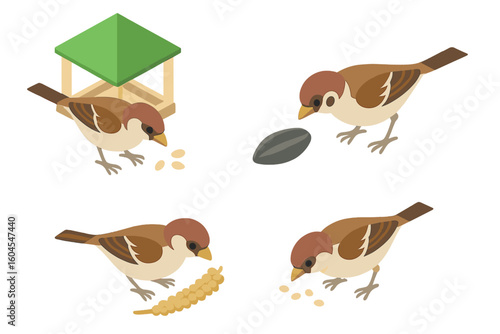 Sparrow feeding icon set. Isometric vector illustration of a wild bird at a feeder, eating sunflower seed and millet spray. Flat design wildlife icons for ornithology.