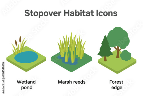 Isometric icon set of stopover habitats and resting sites. Flat vector illustration of a wetland pond, marsh reeds, and forest edge. Nature, environment, ecology concept.