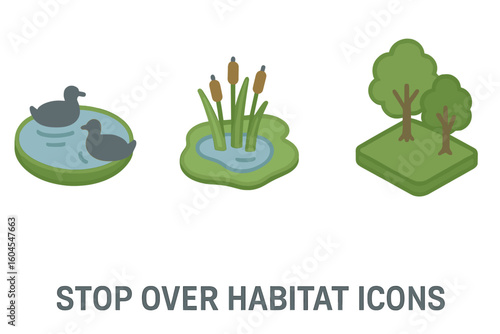 Stopover habitat isometric icon set. Resting sites for migrating birds. Wetland, pond with ducks, marsh with reeds, forest edge. Flat vector ecology illustration.