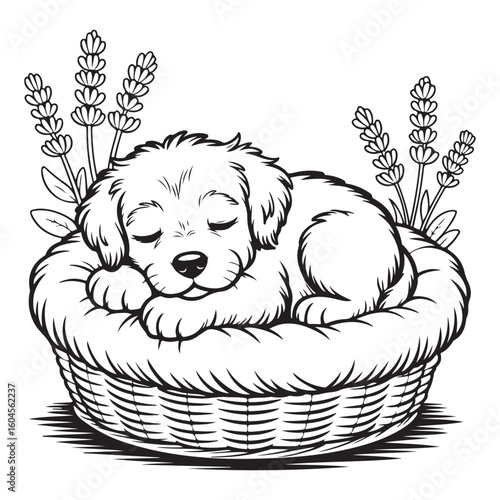 Puppy sleeping in a basket with lavender black and white
