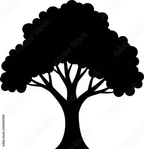 Silhouette of a Majestic Tree: A stark, high-contrast image of a large, leafy tree silhouetted against a clear backdrop, emphasizing its form and structure.