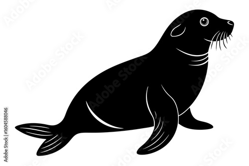 black sea lion