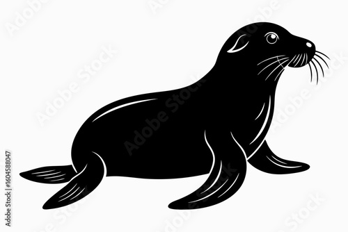sea lion on the beach