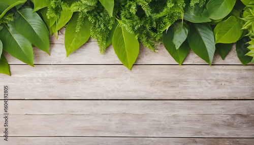 green leaves on a wooden wall