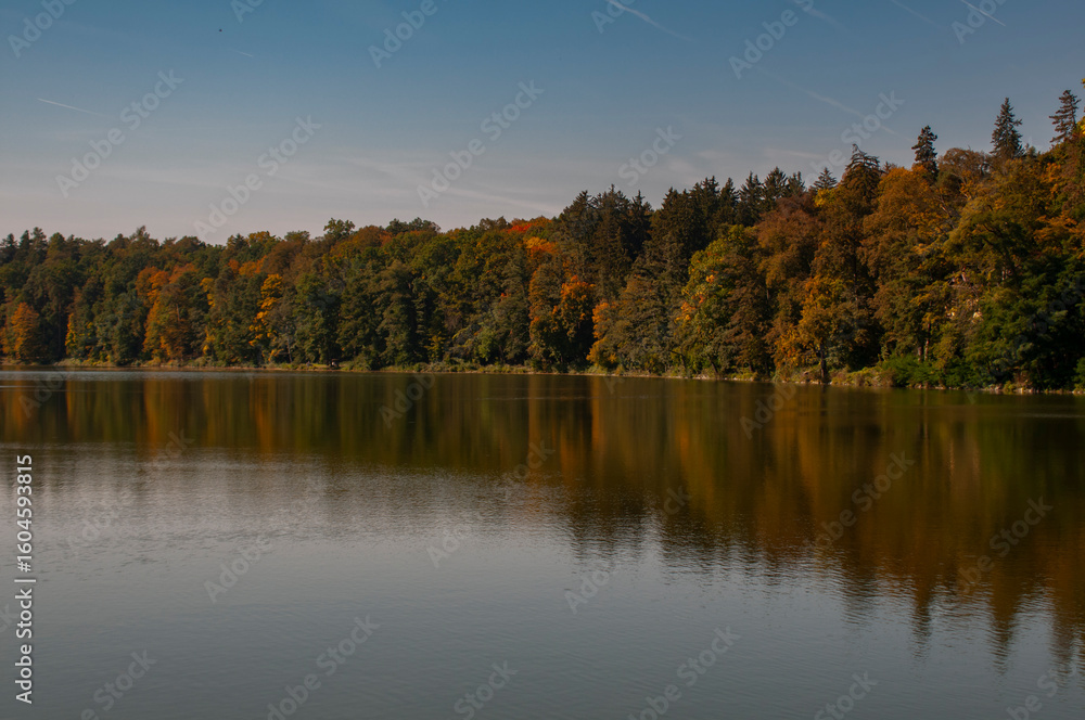 Obraz premium beautiful landscape with lake and autumn trees