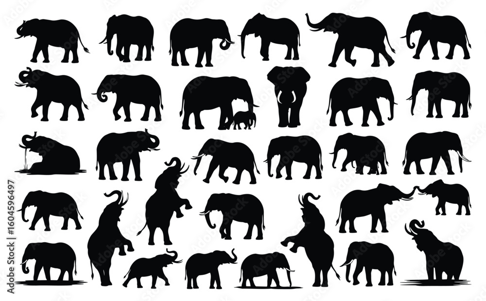 Collection of Silhouette Elephant in Different Poses. Black Elephant Isolated on White Background. Vector Illustration of Various Elephant Activities Collection of Silhouette Elephant in Different Poses. Black Elephant Isolated on White Background. Vector Illustration of Various Elephant Activities