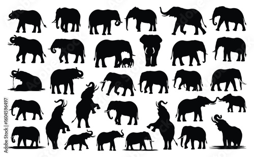 Collection of Silhouette Elephant in Different Poses. Black Elephant Isolated on White Background. Vector Illustration of Various Elephant Activities