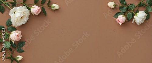 White florals pink rose buds and minimalist green leaves for elegant frame sets on a mocha brown background