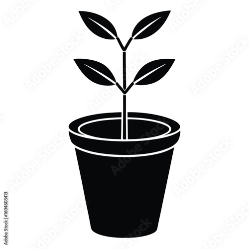 Interior designer element isolated plant pot on white background