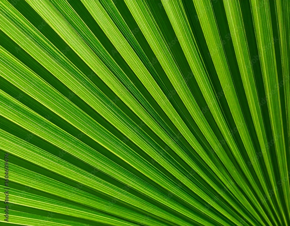 Obraz premium Close-up of vibrant green palm frond (1)