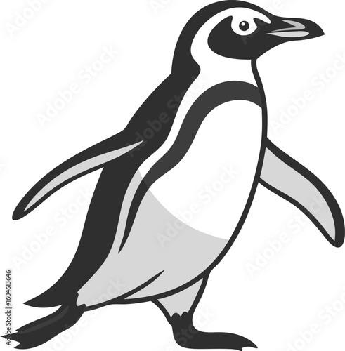 penguin waddling animal vector on transparent background