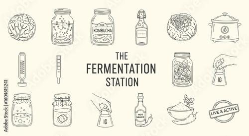 The Fermentation Station vector illustration set. Hand drawn line art of fermented food and equipment like kimchi, cabbage, jars, and tools for cooking, health, and workshop design.