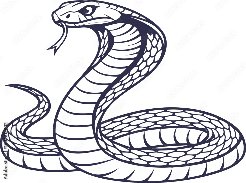 Fototapeta premium coiled serpent vector isolated clear background