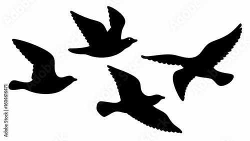 Silhouette illustration of four birds in flight against a white background in a simple and elegant style