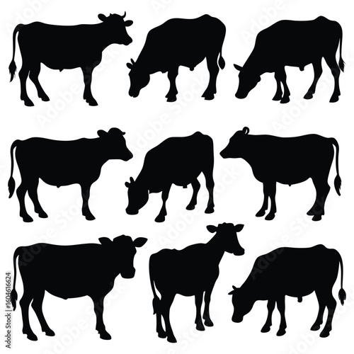 Dairy Cow Black Silhouettes Collection