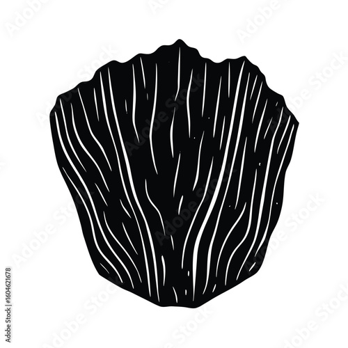 Interior designer element isolated wood texture sample on white background