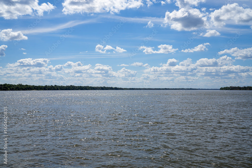 Obraz premium Amazing view of Xingu river water and Amazon rainforest trees in Xingu indigenous land, Brazil. Environment, ecology, conservation, biodiversity, nature, ecosystem, climate crisis, global warming.