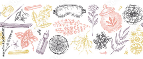 Perfumery seamless ribbon. Exotic plants hand drawn vector illustrations. Perfume and cosmetics background design. Not AI generated