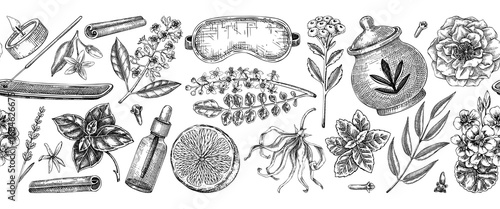 Perfumery seamless ribbon. Exotic plants hand drawn vector illustrations. Perfume and cosmetics background design. Not AI generated