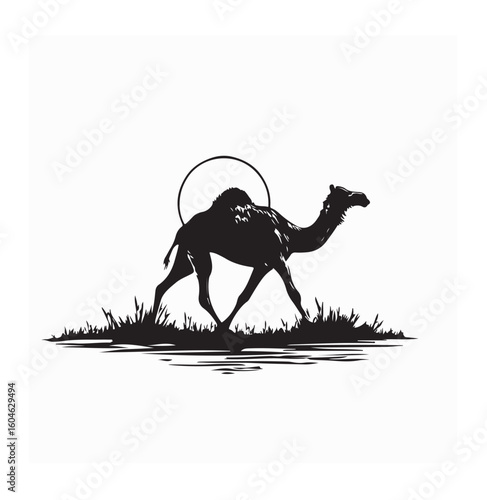 A single camel crossing endless desert dunes under the blazing midday sun alone