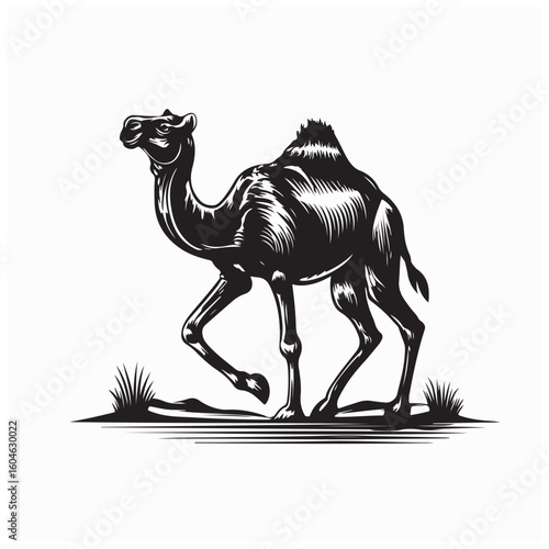 A single camel crossing endless desert dunes under the blazing midday sun alone