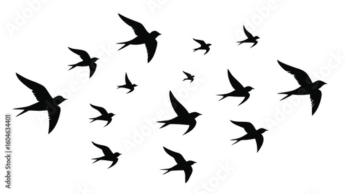 Set of 10 bird flying formation silhouettes isolated on white background