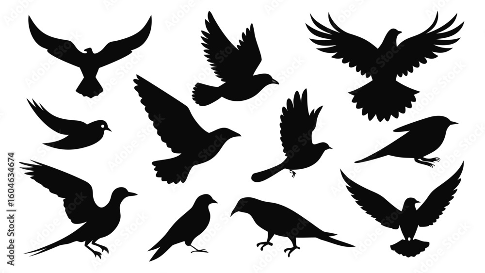 Obraz premium Set of 10 flying bird silhouettes including eagle isolated on white background
