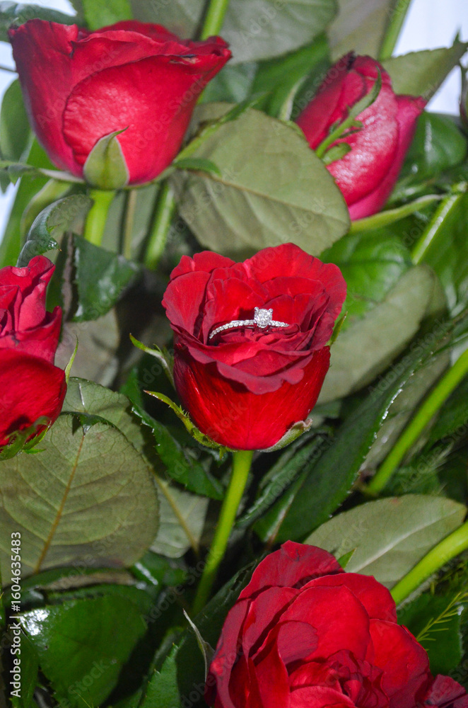 Fototapeta premium Diamond Ring on Red Rose with Green Leaves Background