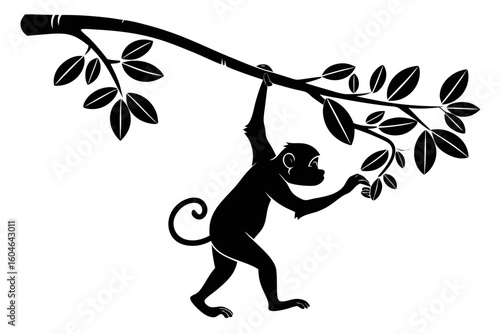 silhouette of a girl with an umbrella