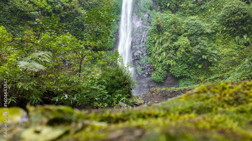 Majestic Waterfall in Lush Green Tropical Forest Majestic Waterfall in Lush Green Tropical Forest