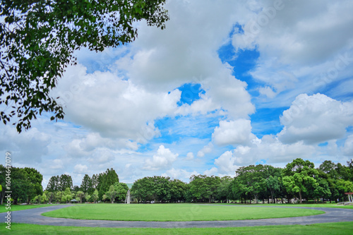 夏の青空が広がる静かな公園の風景