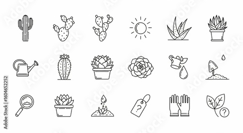 Succulent and Cactus Care Line Icon Set – Plant Identification, Watering, Soil, Sunlight, Desert Plants Vector Illustration

