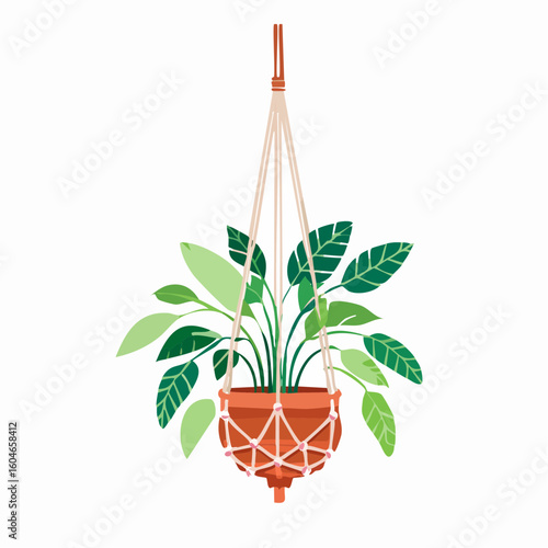 Hanging plant in macrame – Potted plant swinging gently in a knotted hanging cradle.
