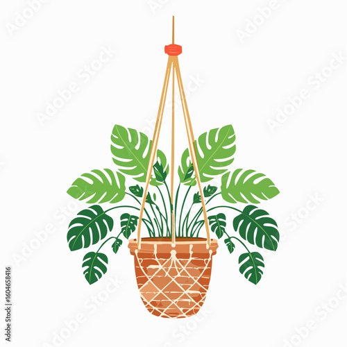 Hanging plant in macrame – Potted plant swinging gently in a knotted hanging cradle.
